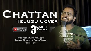 Sudigaalainanu Chattan Telugu  Cover  By Praveen Ritmos [upl. by Braswell]