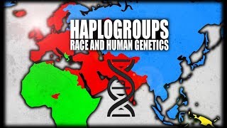 What are Haplogroups Human Genetics Explained [upl. by Minna]