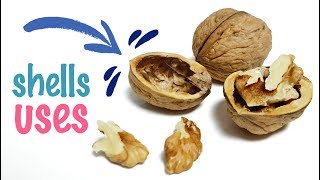 8 Walnut Shells Uses And Applications  How To Use Walnut Shells [upl. by Entirb911]