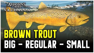 Assassins Creed Valhalla  Brown Trout Fish Locations Big  Regular  Small [upl. by Poul]