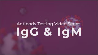 Antibody Testing IgG and IgM explained [upl. by Kurtis281]