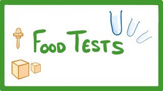 GCSE Biology  Food Tests Practicals 16 [upl. by Belle]