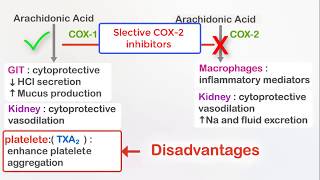 Advil Tylenol Aleve and Aspirin comparison [upl. by Abbott]