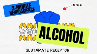 2Minute Neuroscience Alcohol [upl. by Squires547]