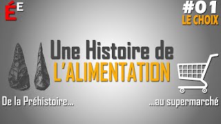 01 Le Choix  Une Histoire de lAlimentation [upl. by Annil861]