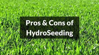 Hydroseeding Pros and Cons [upl. by Saihttam131]