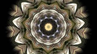 Splendor of Color Kaleidoscope Video v12 Psychedelic Meditation Visuals for Stoners and Trippers [upl. by Mika]