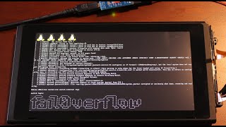 Nintendo Switch hacking is Easy [upl. by Ixela]