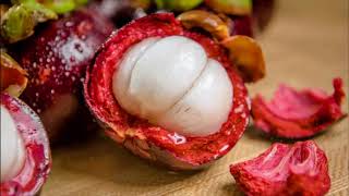 How to Plant Mangosteen In Pots As Fruit Crops [upl. by Haonam99]