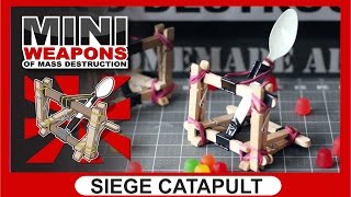 Siege Catapult  Mini Weapons of Mass Destruction  Popsicle STEM challenge [upl. by Engenia]