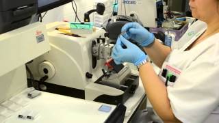 AIDPATH  HISTOLOGICAL TISSUE SAMPLE PREPARATION [upl. by Fitting]