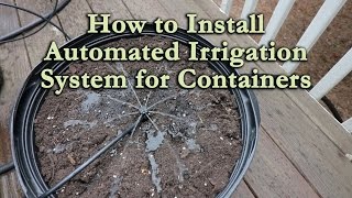 How to Install an Automated Irrigation System for Container Vegetables and Flowers [upl. by Carlen]