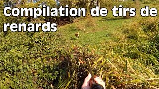 Compilation de tirs de renards [upl. by Suruat]