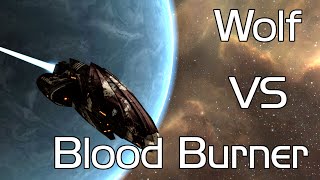 EVE Online Level 4 Blood Raider Burner Mission using a Wolf Anomic Agent [upl. by Susumu]