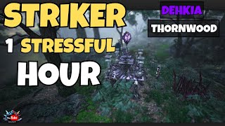 BDO 1 Stressful Hour Grind At Dehkia Thornwood With Striker [upl. by Sawyere]