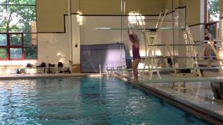 Teach a Flip for Springboard Diving [upl. by Atiana248]