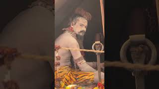 Welcome to kumbh nagari Prayagraj mahakumbh2025 prayagrajkumbh grow prayagraj shortvideo yt [upl. by Eceirtal]