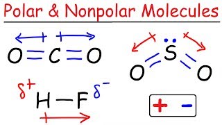 Polar and Nonpolar Molecules [upl. by Benton131]