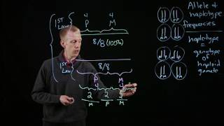 Allele and Haplotype Frequencies [upl. by Stannwood544]