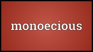 Monoecious Meaning [upl. by Tedric319]