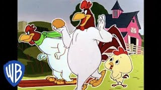 Looney Tunes en Latino  El Gallo Claudio en la granja  WB Kids [upl. by Gnanmos283]