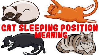 What Your Cats Sleeping Position Reveals About Their Health and Personality [upl. by Ssepmet]