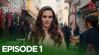 Turkish Drama in Urdu  Three Sisters Episode 1  Üç Kız Kardeş in Hindi  Drama Plus [upl. by Nagaet]