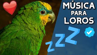 🦜MÚSICA RELAJANTE para LOROS y AVES🦜2022 MÚSICA para AVES RELAX y TRANQUILIZAR🎵 [upl. by Rahmann]