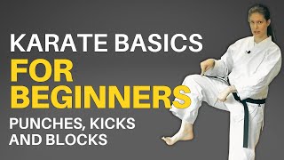 Karate Basics for Beginners Followalong Lesson [upl. by Alrep]