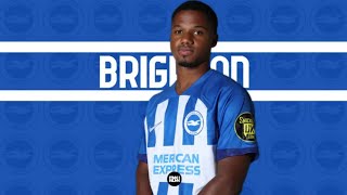 Ansu Fati Brighton Debut Highlights [upl. by Teriann]