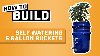 How to Build Self Watering 5 Gallon Buckets [upl. by Pazice735]