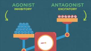 How Alcohol Affects Your Developing Brain [upl. by Ecnaret160]