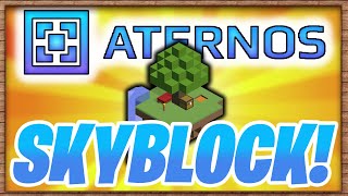 HOW TO MAKE A SKYBLOCK SERVER WITH ATERNOS 1165 [upl. by Maibach]