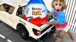 Monkey Baby Bon Bon eats kinder joy surprise eggs and plays with puppy in the swimming pool [upl. by Aziza679]