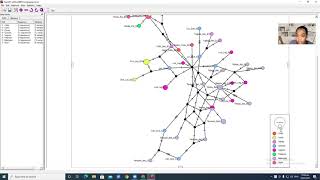 Haplotype Network using POPART Tagalog [upl. by Riamu]