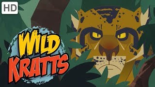 Wild Kratts  The Deadliest Felines in Nature [upl. by Nileuqaj459]