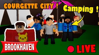 Live Roblox BROOKHAVEN  LE CAMPING À COURGETTE CITY  En Vocal 😁 BROOKHAVEN RP STORY [upl. by Grannia722]