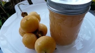 How To Make Palm Fruit Jelly  Pindo Palm DIY Self Sufficient Jelly Making [upl. by Bevon595]