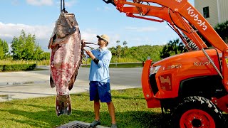 How to Clean and Cook a 300lb Grouper [upl. by Melise]