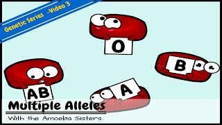 Multiple Alleles ABO Blood Types and Punnett Squares [upl. by Yolanda]