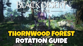 Thornwood Forest Rotation Guide  Black Desert Online [upl. by Annissa]