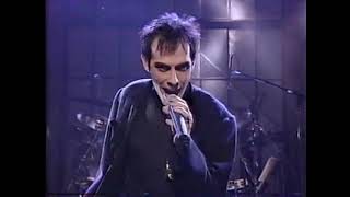 Peter Murphy  The Sweetest Drop  Cuts You Up Live 1992 [upl. by Aneehsirk]