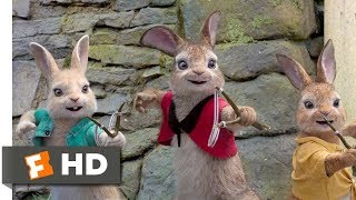 Peter Rabbit 2018  Fight between peter and Thomas McGregor 1013 [upl. by Alikat]