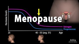 Menopause Perimenopause Symptoms and Management Animation [upl. by Rubliw]