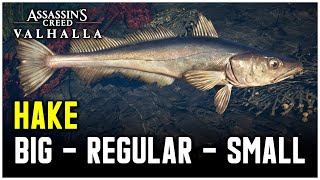 Assassins Creed Valhalla  Hake Fish Locations Big  Regular  Small [upl. by Guzel]