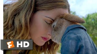 Peter Rabbit 2018  Losing Peters Father Scene 110  Movieclips [upl. by Yauqram688]