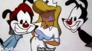 Animaniacs  Macadamia Nut but it’s only “Hello Nurse” QUICK LOOP [upl. by Astra]