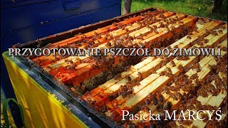 Jak przygotować pszczoły do zimowli [upl. by Aicemak]