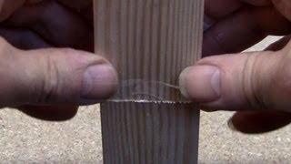 Gluing end grain wood  Titebond [upl. by Enimsaj]