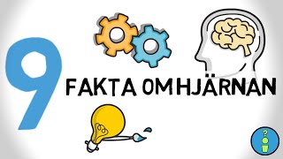 9 FAKTA OM HJÄRNAN [upl. by Anesusa]